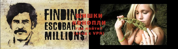 PSILOCYBIN Волосово