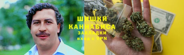 мдпв Волоколамск