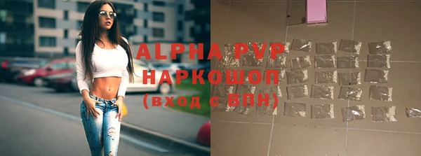 PSILOCYBIN Волосово