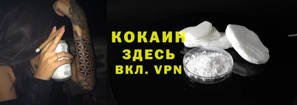 PSILOCYBIN Волосово