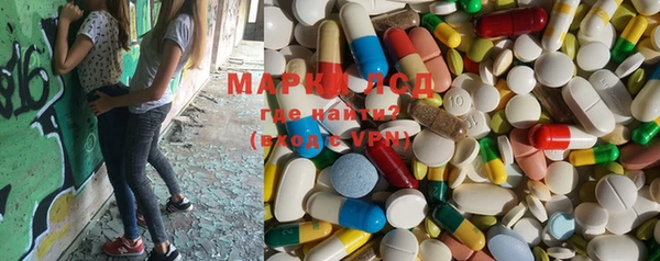 PSILOCYBIN Волосово
