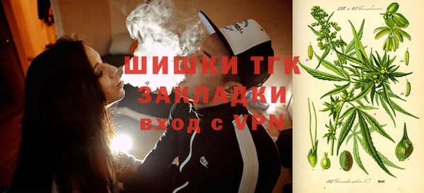 мдпв Волоколамск