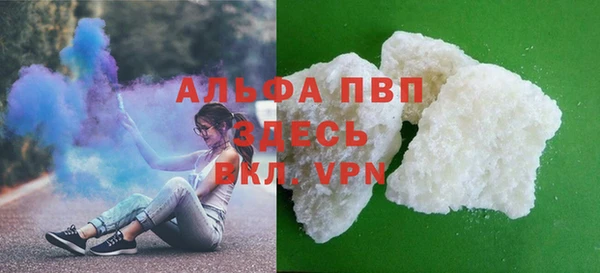 PSILOCYBIN Волосово